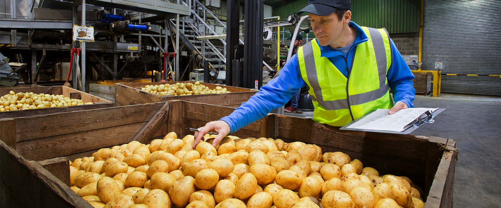Good News, Spud Fans: Potatoes Are Sitting This Health Scare Out